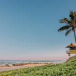 a lifeguard tower on a beach next to a palm tree